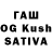 Галлюциногенные грибы MAGIC MUSHROOMS German Tihov
