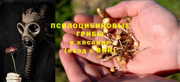 стаф Абаза